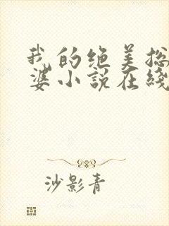 我的绝美总裁老婆小说在线阅读封面