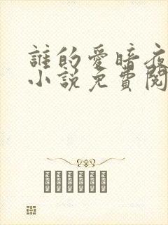 谁的爱暗夜生花小说免费阅读全文