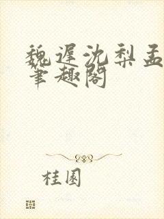 魏迟沈梨孟灵薇笔趣阁