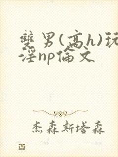 双男(高h)玩淫np伦文