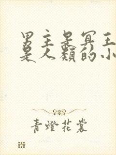 男主是冥王女主是人类的小说