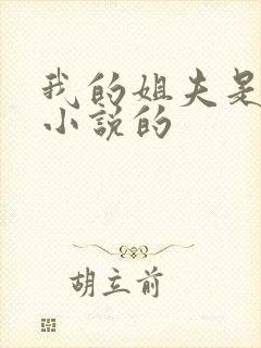 我的姐夫是太子小说的