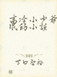 高冷小少爷被催眠的小说
