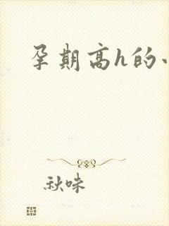 孕期高h的小说封面