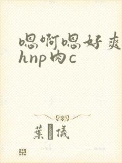 嗯啊嗯好爽啊高hnp肉c
