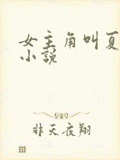 女主角叫夏晴的小说封面