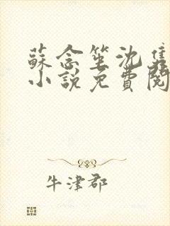 苏念笙沈隽西的小说免费阅读