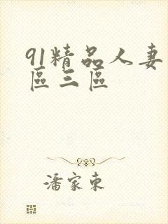 91精品人妻二区三区