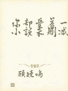 你却爱着一个他小说未删减全文封面