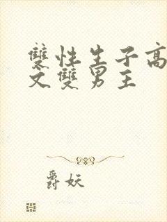 双性生子高辣h文双男主