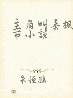 主角叫秦枫的都市小说