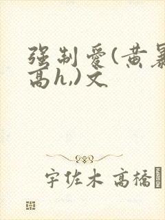 强制爱(黄暴,高h,)文
