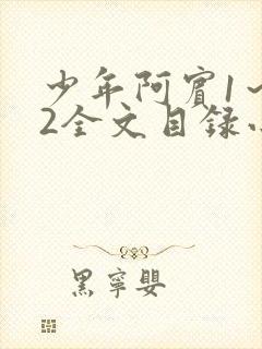 少年阿宾1～72全文目录小说