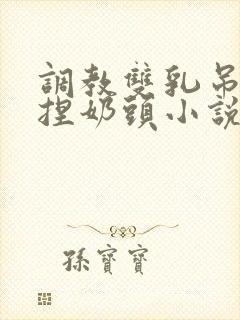 调教双乳吊起来捏奶头小说封面