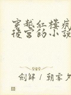 穿越红楼疯狂开后宫的小说