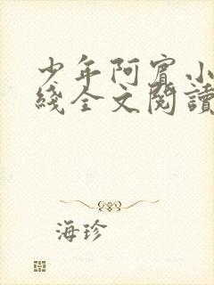 少年阿宾小说在线全文阅读