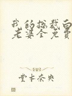 我的总裁白富美老婆全免费的小说