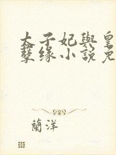 太子妃与皇上的孽缘小说免费阅读