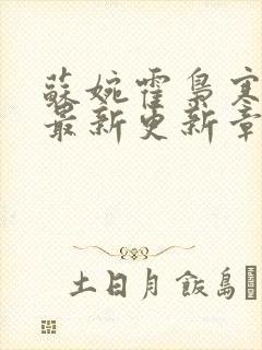 苏婉霍枭寒小说最新更新章节目录封面