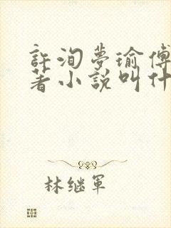 许洵梦瑜傅燃原著小说叫什么封面