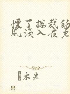 怀了总裁的崽随风浅入夜免费阅读封面