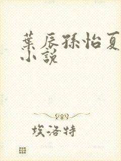 叶辰孙怡夏若雪小说