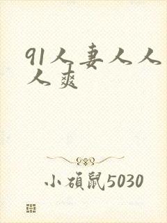 91人妻人人人人爽