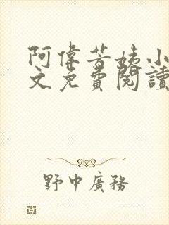 阿伟芳姨小说全文免费阅读在线观看