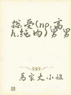 总受(np,高h,纯肉)男男