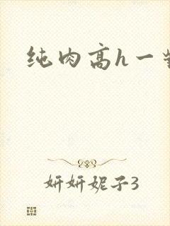 纯肉高h一对一