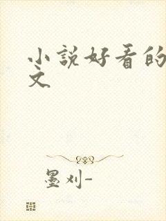 小说好看的高干文