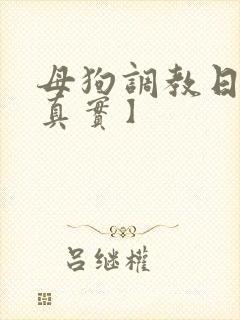 母狗调教日记【真实】
