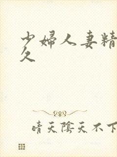 少妇人妻精品久久