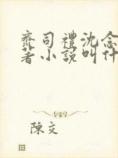 齐司礼沈念一原著小说叫什么