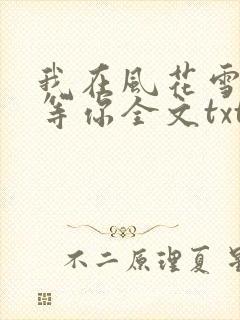 我在风花雪月里等你全文txt封面