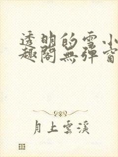 透明的雪小说笔趣阁无弹窗