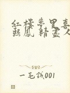 红楼梦里喜欢王熙凤 精尽人亡