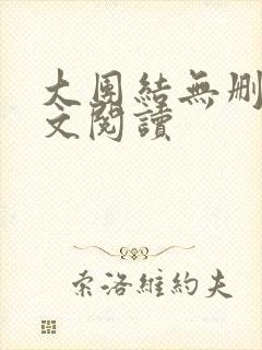 大团结无删减全文阅读