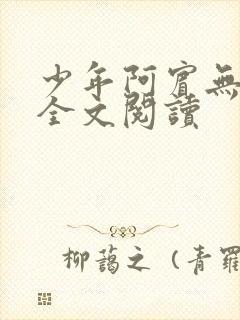 少年阿宾无删减全文阅读