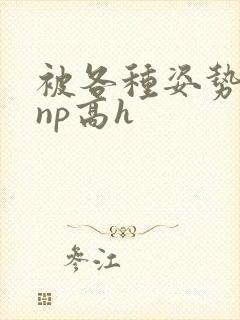 被各种姿势玩弄np高h