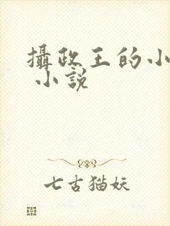 摄政王的小闲妻 小说