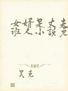 女婿是丈夫的接班人小说免费阅读