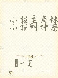 小说主角林辰的小说叫什么封面