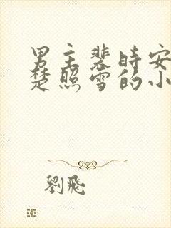 男主裴时安女主楚照雪的小说