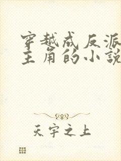 穿越成反派逆袭主角的小说封面