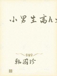 小男生高h文