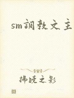 sm调教文主奴封面