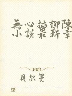 无心插柳陈楚禾小说最新章节列表