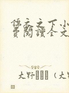 锦衣之下小说免费阅读全文无删减