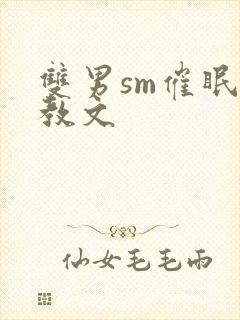 双男sm催眠调教文封面